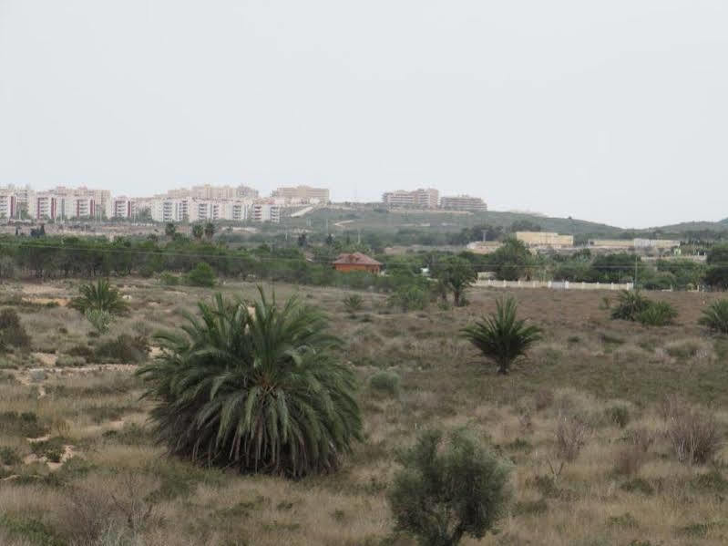 Hostal Meseguer El Altet Exteriör bild